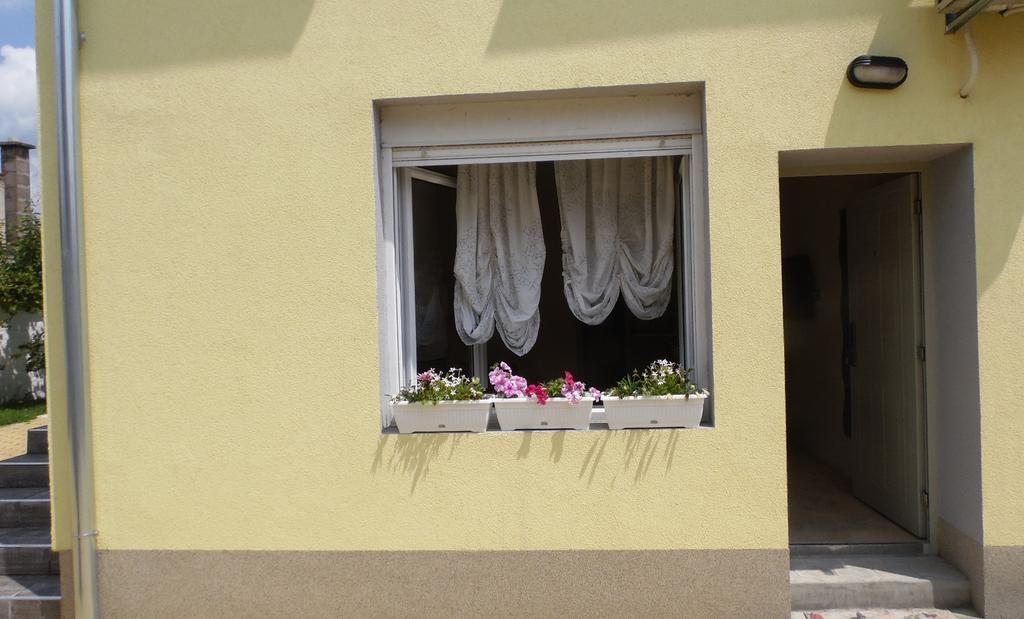 Zen Apartmani Novi Sad Exterior photo